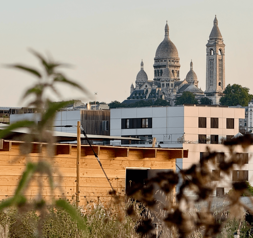 Rapport d&rsquo;activité 2025